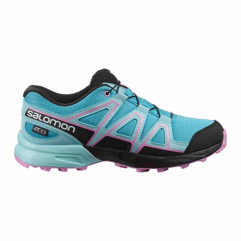 SALOMON SPEEDCROSS CLIMASALOMON™ WATERPROOF Philippines - Kids' Trail Running Shoes - Blue/Brown Tur